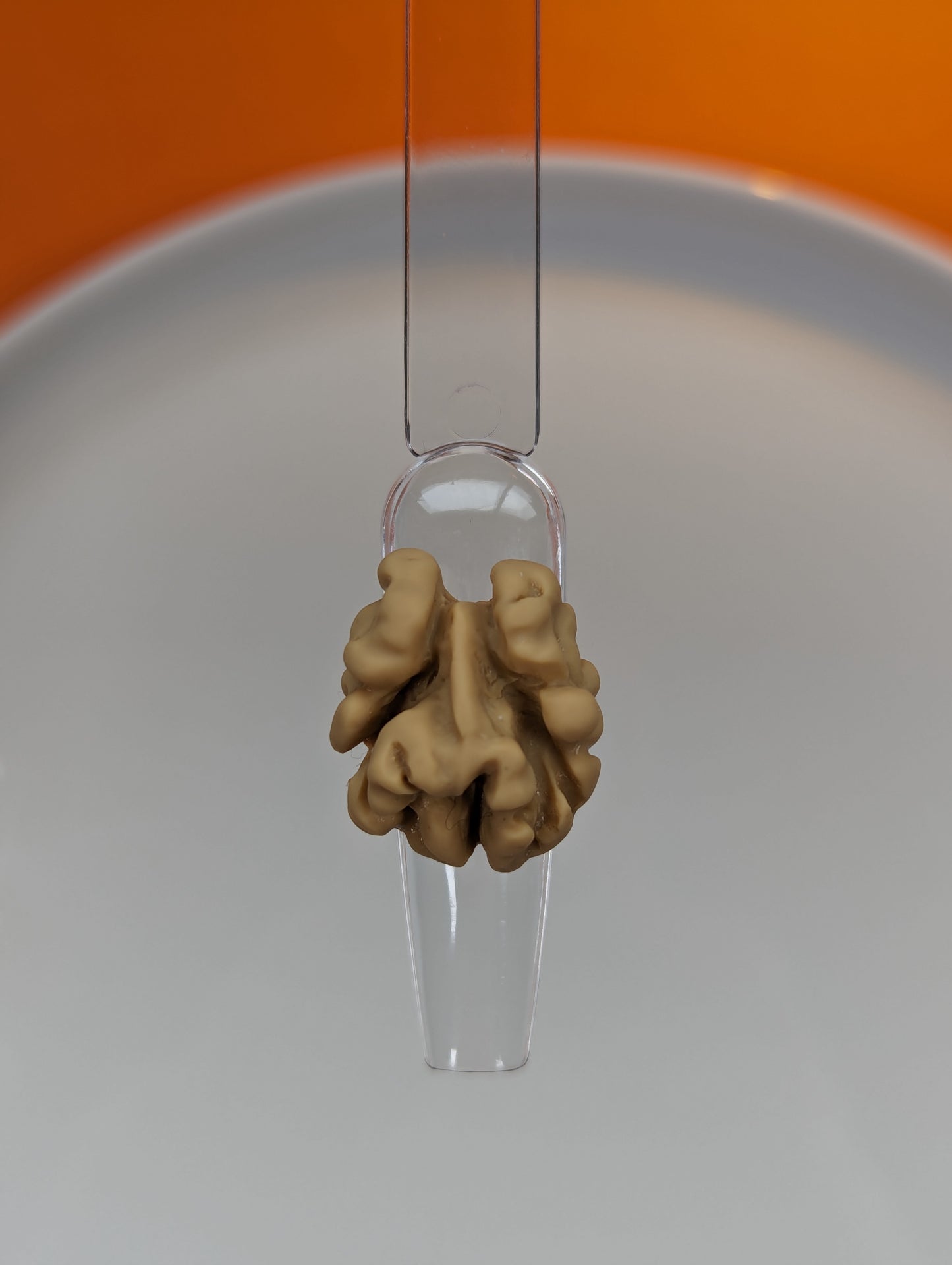 Mixed Nuts