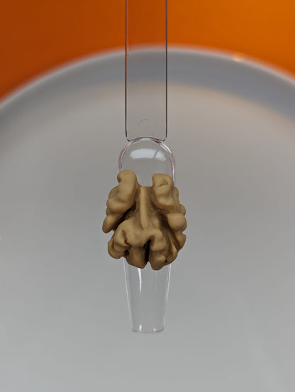 Mixed Nuts